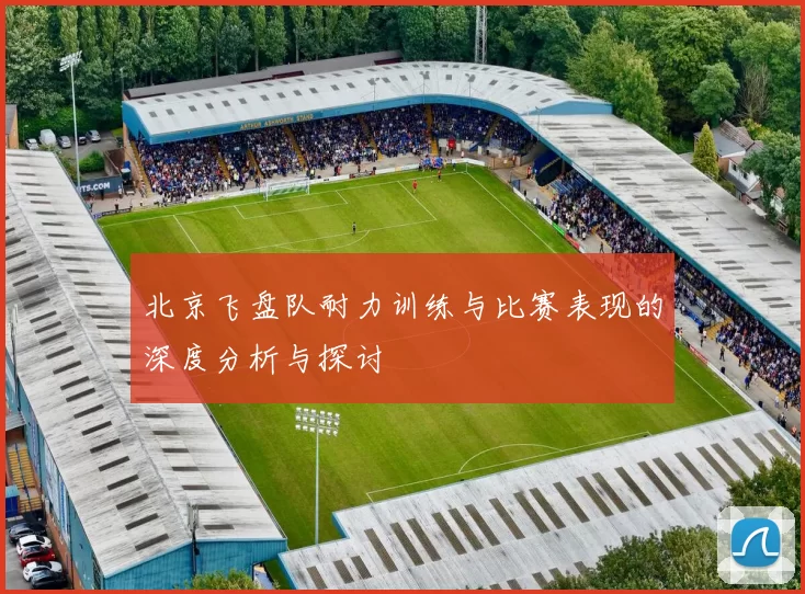 北京飞盘队耐力训练与比赛表现的深度分析与探讨