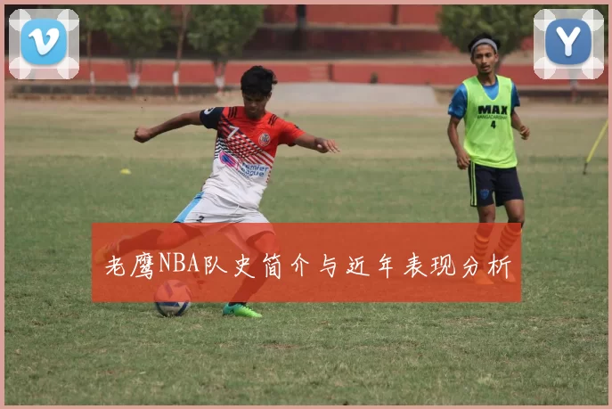 老鹰NBA队史简介与近年表现分析