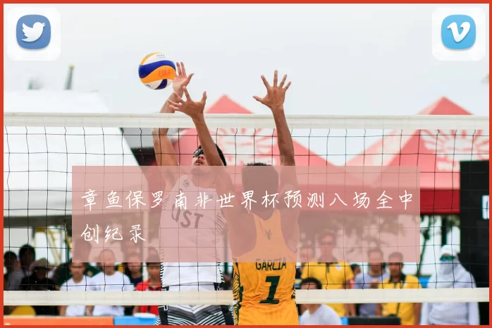 章鱼保罗南非世界杯预测八场全中创纪录