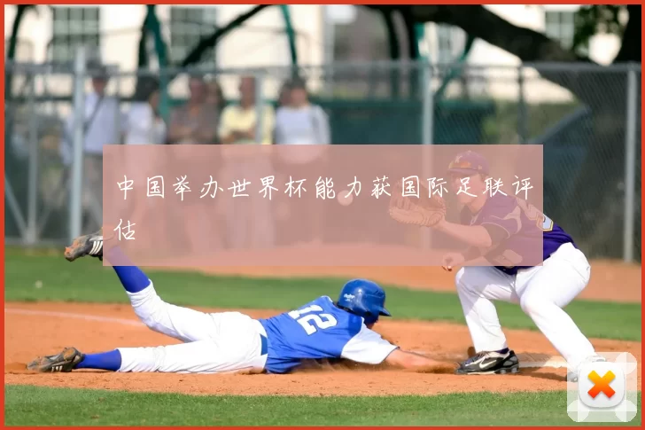 中国举办世界杯能力获国际足联评估
