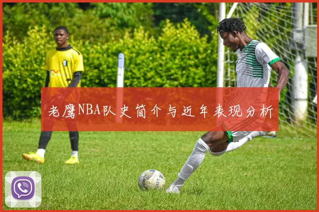 老鹰NBA队史简介与近年表现分析