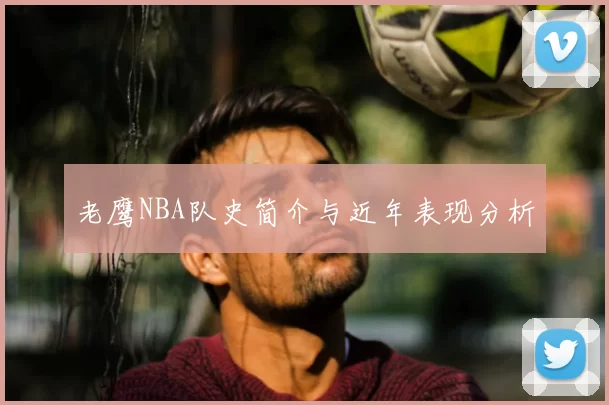 老鹰NBA队史简介与近年表现分析