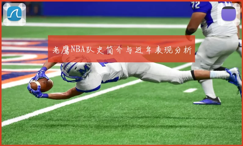 老鹰NBA队史简介与近年表现分析