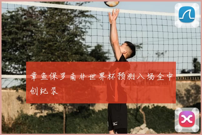 章鱼保罗南非世界杯预测八场全中创纪录