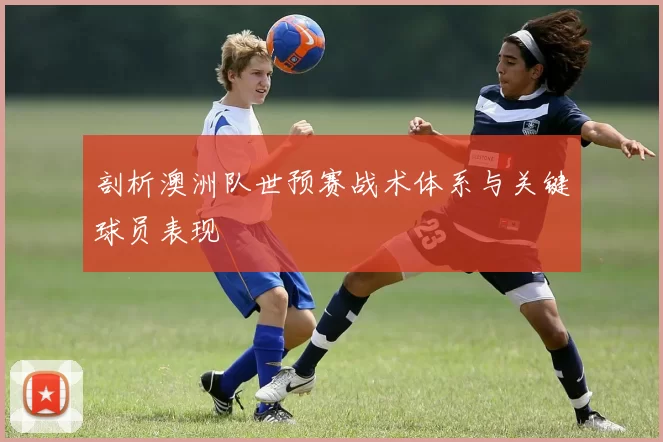剖析澳洲队世预赛战术体系与关键球员表现
