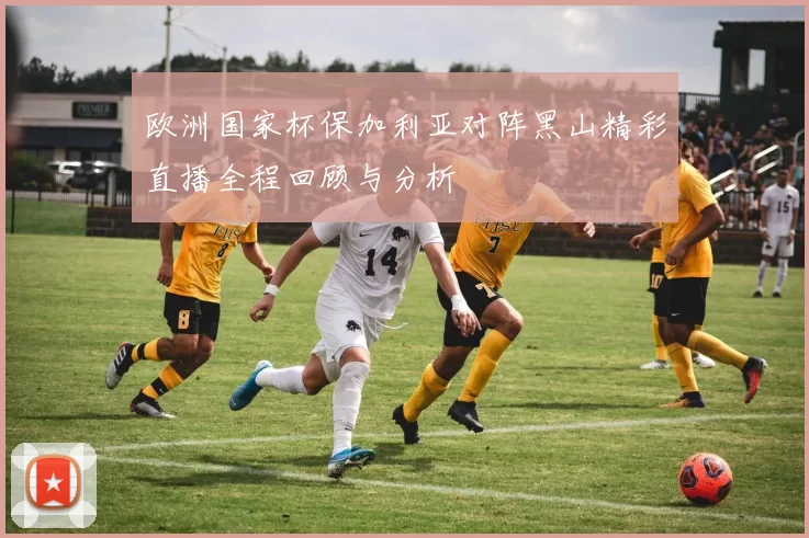 欧洲国家杯保加利亚对阵黑山精彩直播全程回顾与分析