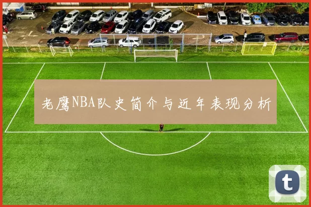 老鹰NBA队史简介与近年表现分析