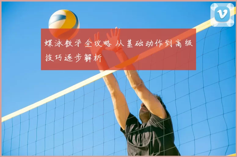 蝶泳教学全攻略 从基础动作到高级技巧逐步解析