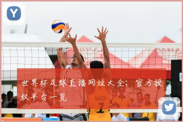 世界杯足球直播网址大全:官方授权平台一览