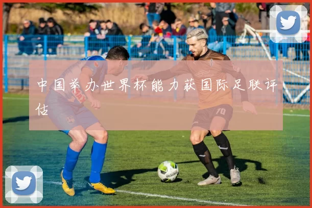 中国举办世界杯能力获国际足联评估