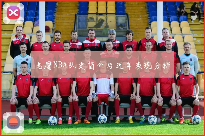 老鹰NBA队史简介与近年表现分析