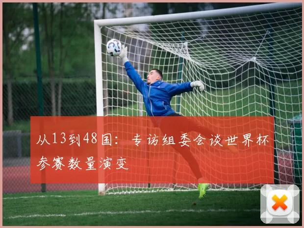 从13到48国:专访组委会谈世界杯参赛数量演变