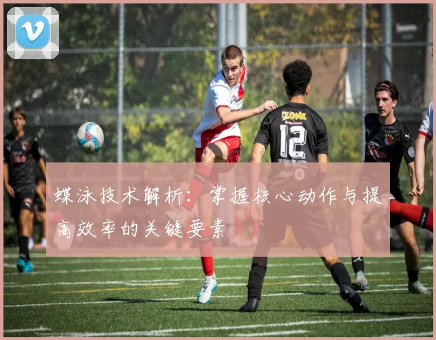 蝶泳技术解析：掌握核心动作与提高效率的关键要素