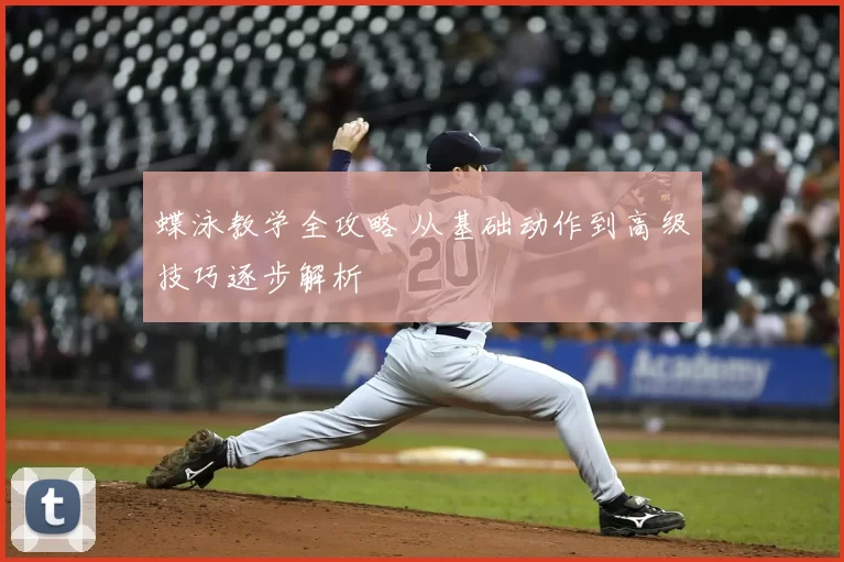 蝶泳教学全攻略 从基础动作到高级技巧逐步解析
