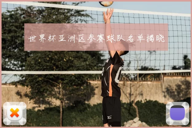 世界杯亚洲区参赛球队名单揭晓