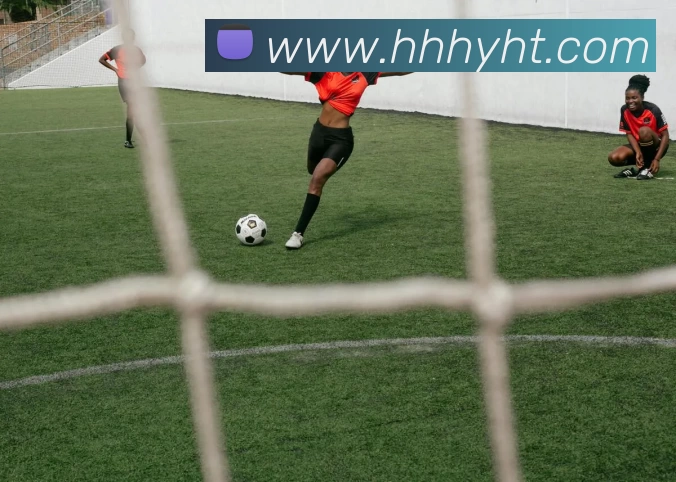 爱游戏体育服务体系